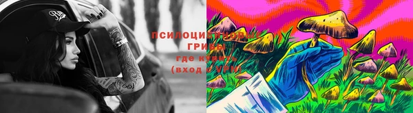 скорость mdpv Новозыбков