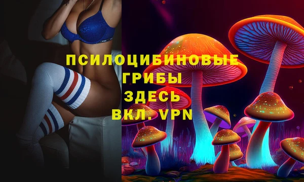 наркотики Новодвинск
