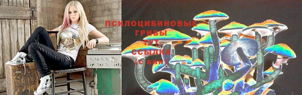 скорость mdpv Новозыбков