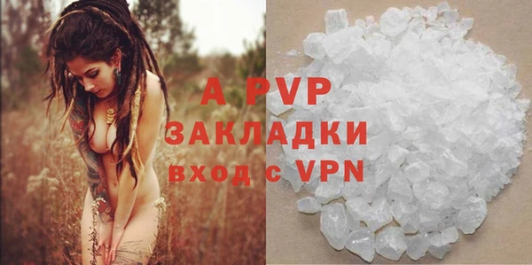 гашик Новокубанск